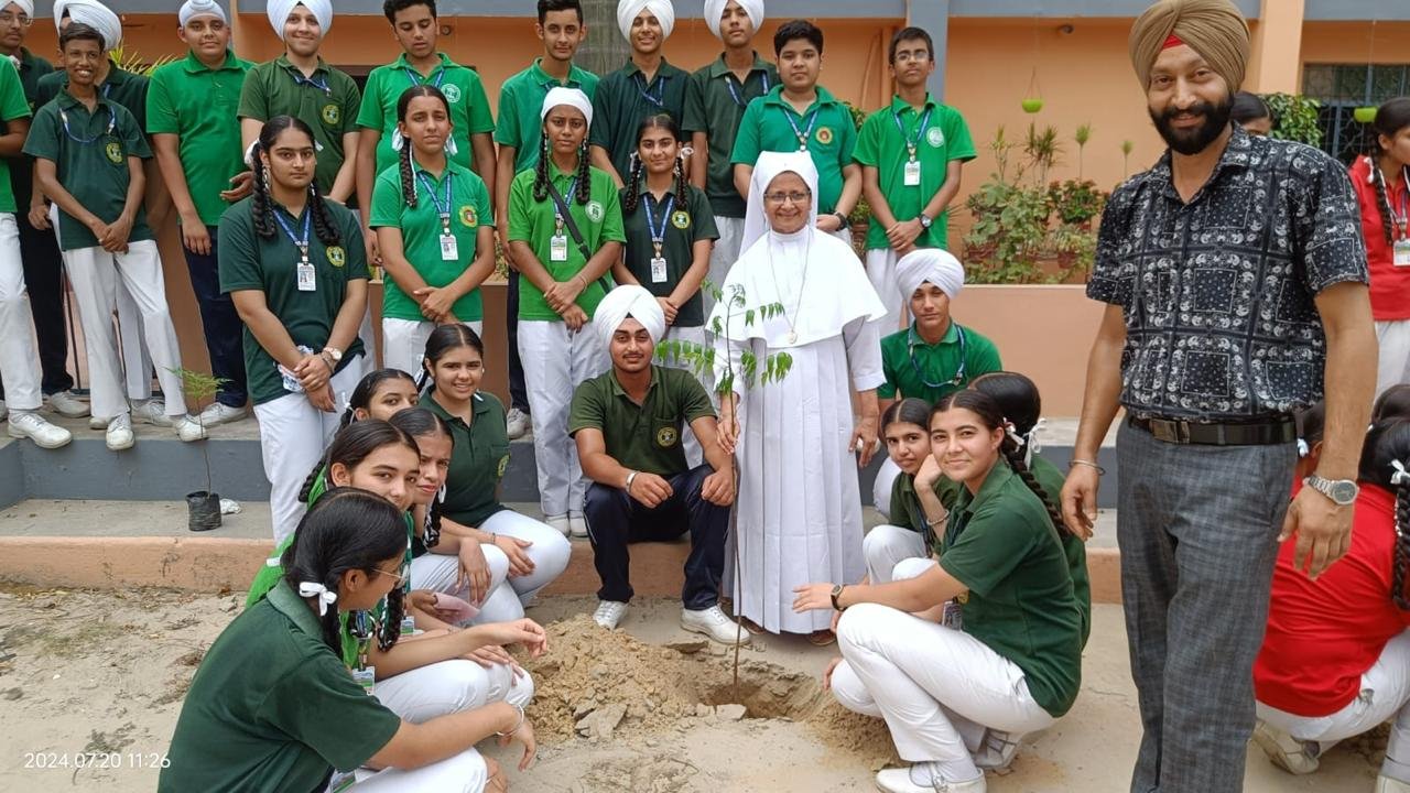 Van Mahotsav Celebration in Christ Jyoti Convent School (2024-25)